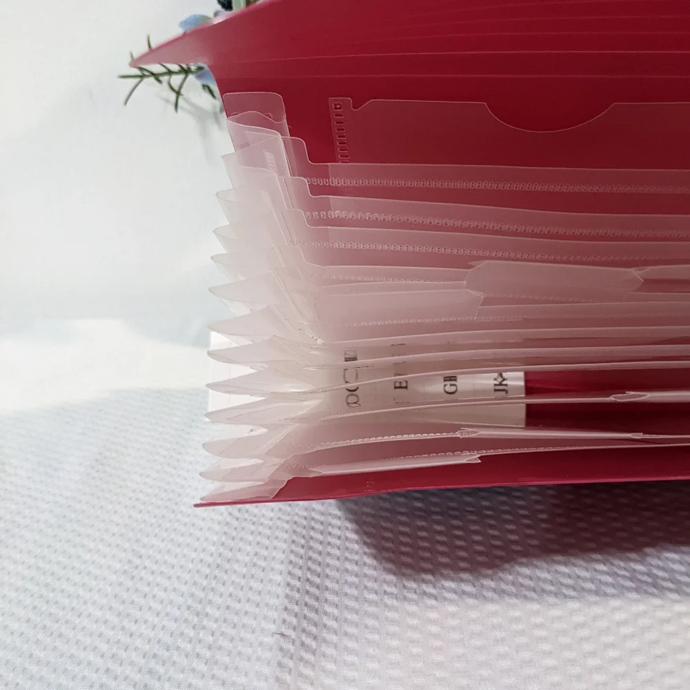 💖 Expanding File Folder Organizer Pink